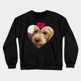 Labradoodle Crewneck Sweatshirt